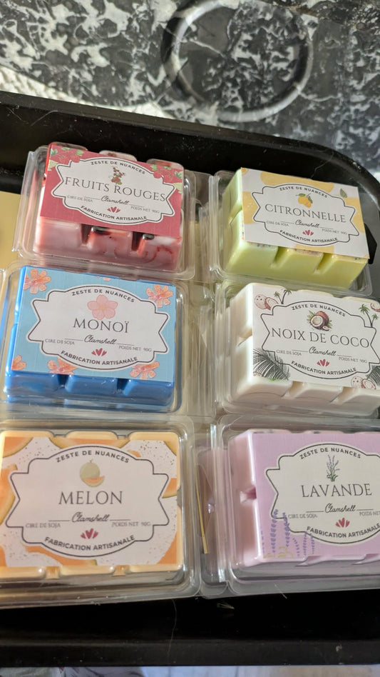 Summer Vibe - Clamshells parfumés